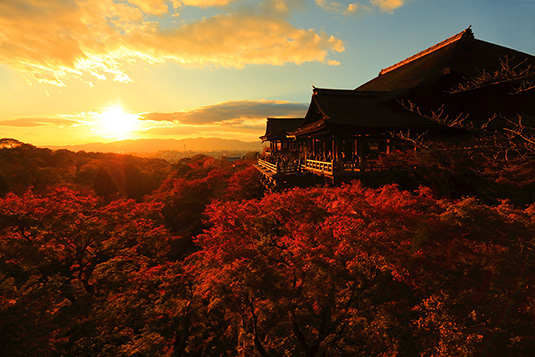 京都の世界遺産！美しくて感動する京都の絶景を徹底紹介！