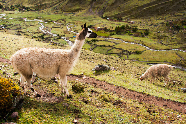ペルーの世界遺産！美しい景色が見れる絶景12ヶ所リスト
