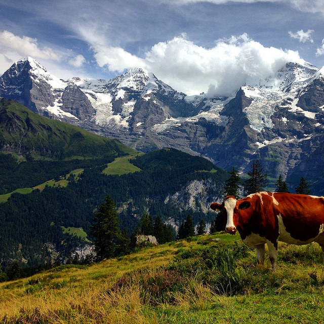 スイスの世界遺産！一度は見てほしい美しすぎる絶景12ヶ所リスト