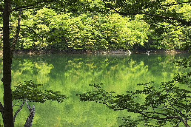 青森県の世界遺産！青森県で見れる美しい世界自然遺産とは？