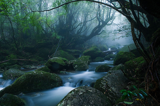 鹿児島の世界自然遺産！鹿児島の美しすぎる絶景リスト